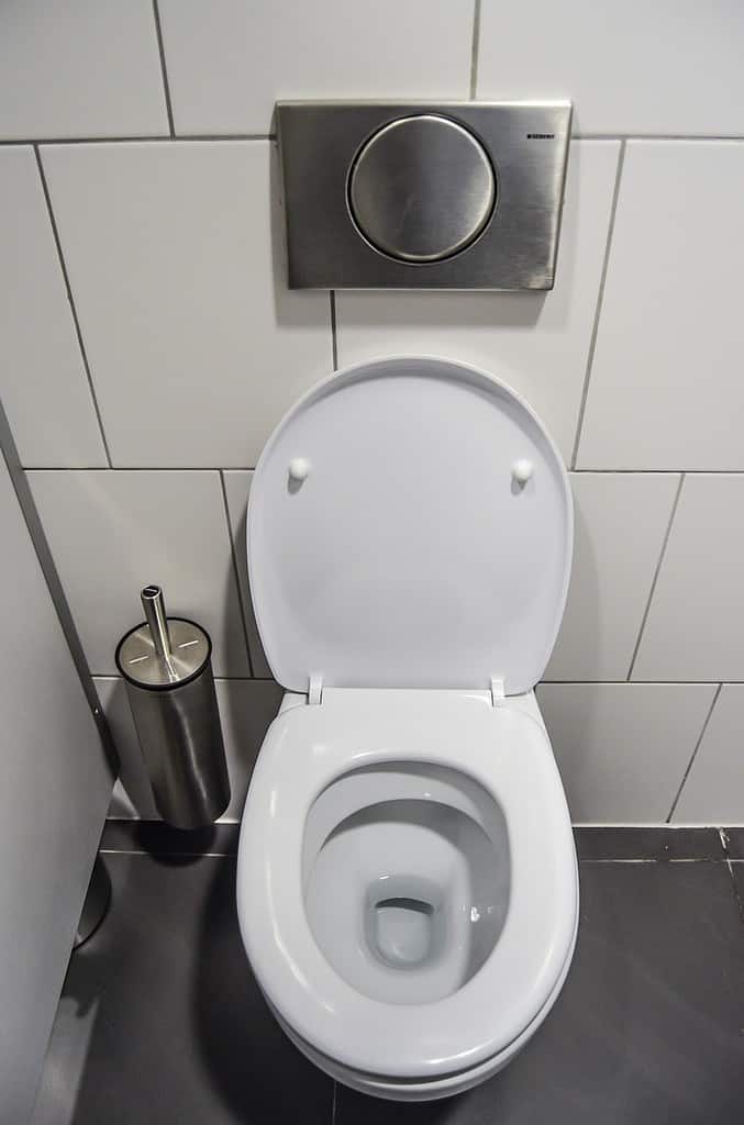 Flush or not to flush: WHERE IN MEXICO CAN YOU FLUSH TOILET PAPER? 