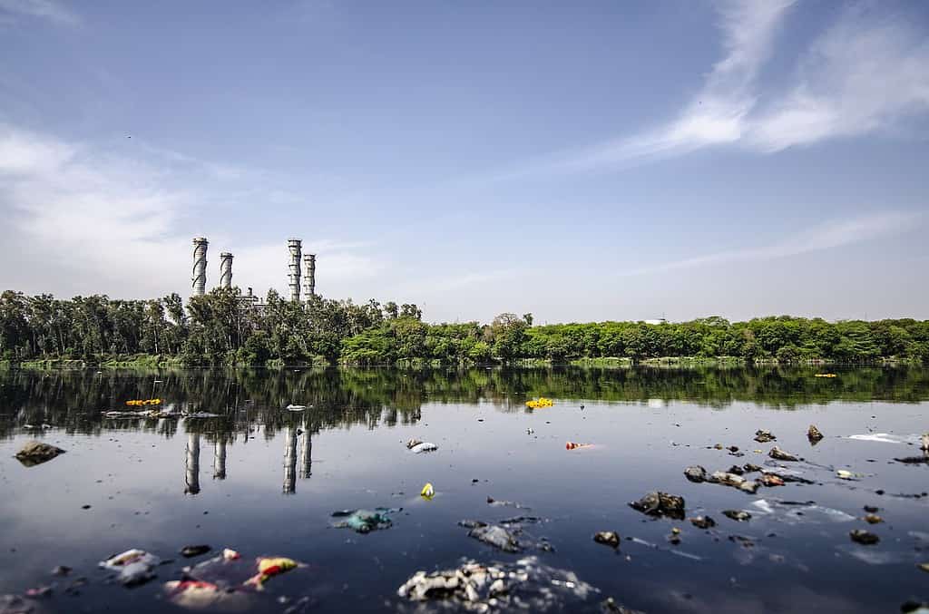 Turning the Tide: Mexico's Push Towards Poo-lution-Free Sanitation