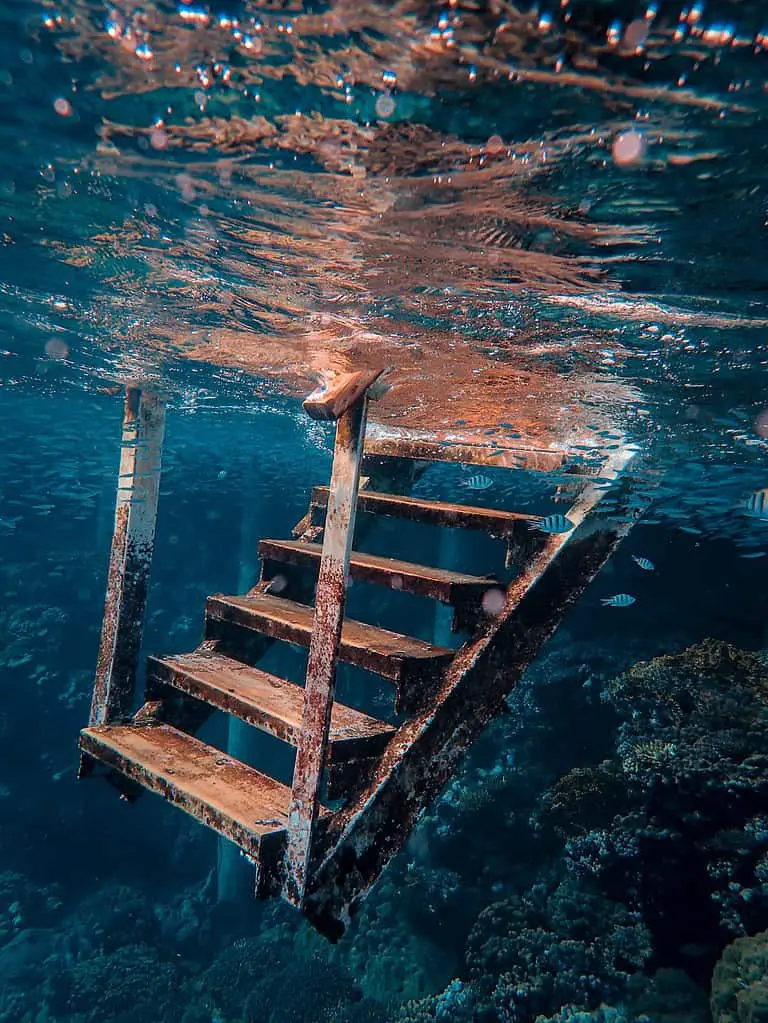 Clear waters at a cenote