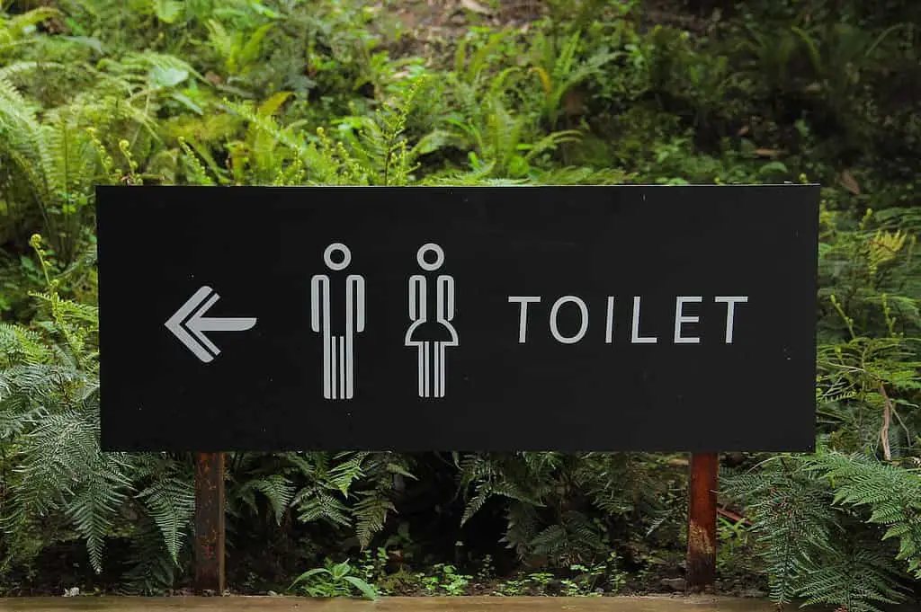 Use the bathroom before you swim in the cenotes
