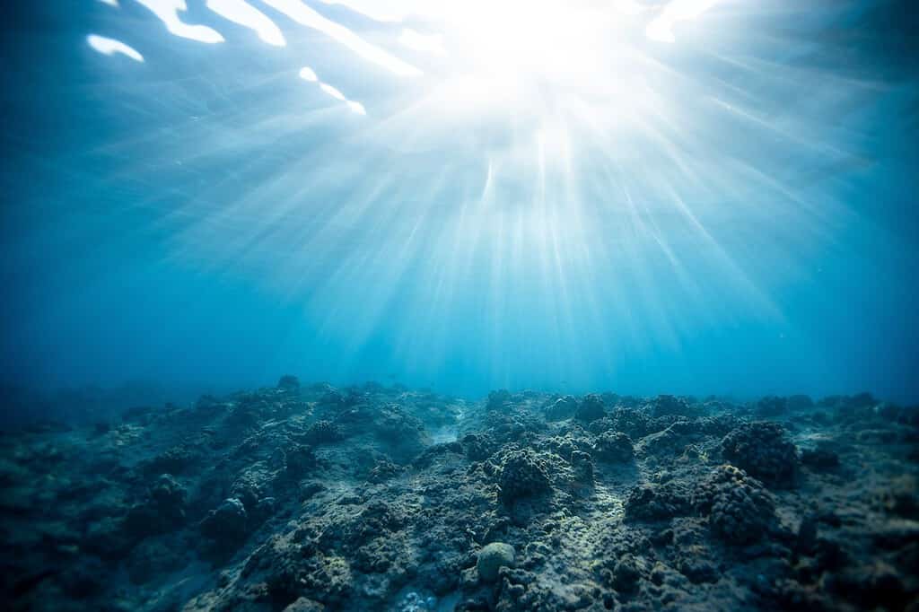 The Meteoric Origin of Cenotes and Their Fascinating Mysteries Juntos Journeys cenote