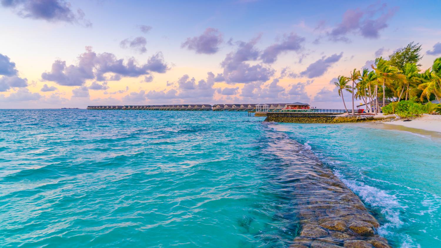 Water Adventures Galore: Snorkeling, Diving, and More in Cancún's Crystal Waters Juntos Journeys Water Adventures Galore in Cancún