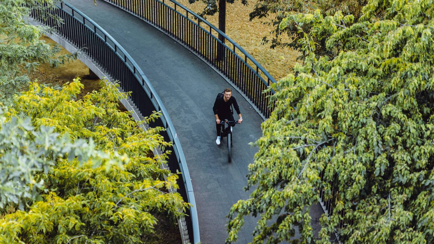 Explore Cancún by Bike: The City's Eco-Friendly Side on Two Wheels Juntos Journeys Explore Cancún by Bike