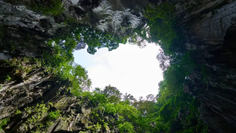 Diving the cenotes of Yucatán Peninsula