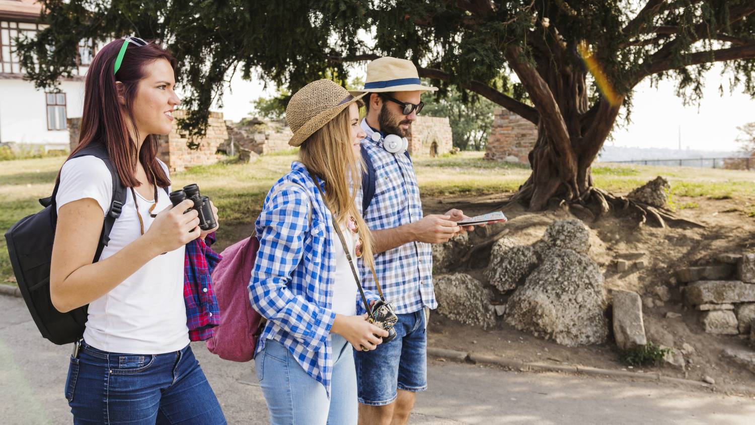 Guided Tours vs. Exploring on Your Own